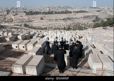 Gruppe von orthodoxen Juden beten an einem Grab am Ölberg Friedhof mit Altstadt von Jerusalem BKGD.. Israel Stockfoto