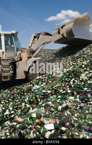 Glas-recycling bei ALBA Berlin, Deutschland Stockfoto