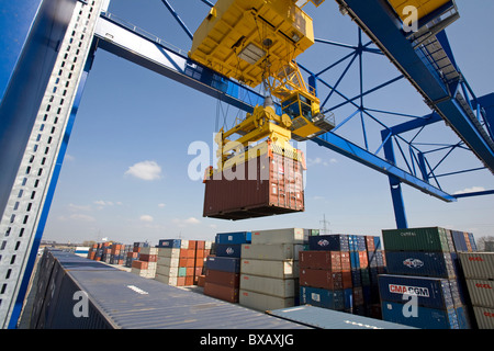 Container-Hafen Duisburg Trimodal Terminal D3T, Duisburg, Deutschland Stockfoto