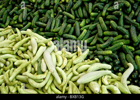 Frische Bio-Gurken / Gewürzgurken an einer Straßenecke Markt In Istanbul, Türkei. Stockfoto