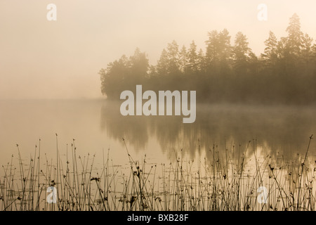 Nebligen See Morgen Stockfoto