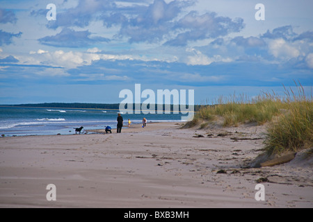 Nairn Strand, Inverness, Highland Region, Schottland, September 2010 Stockfoto