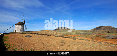 Panorama mit Windmühle, Fuerteventura, Kanarische Inseln, Spanien, Europa Stockfoto
