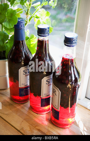 Flaschen mit Likör auf Fensterbank Stockfoto