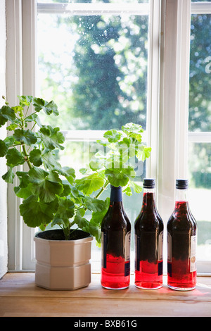 Flaschen mit Likör auf Fensterbank Stockfoto