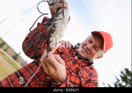 Fischer Fisch vom Fischernetz herausnehmen Stockfoto