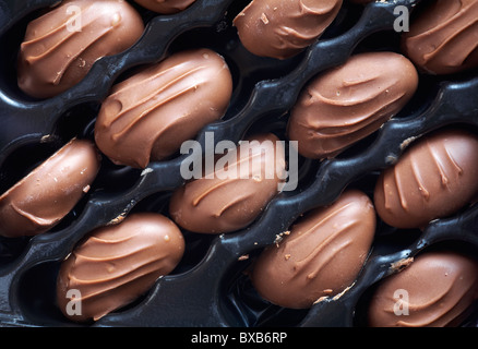 Milch-Schoko-Paranüsse Stockfoto