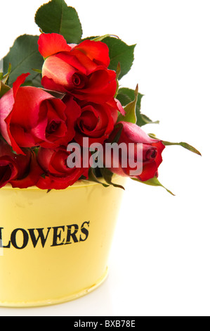 Strauß roter Rosen in gelber Vase isoliert auf weiß Stockfoto