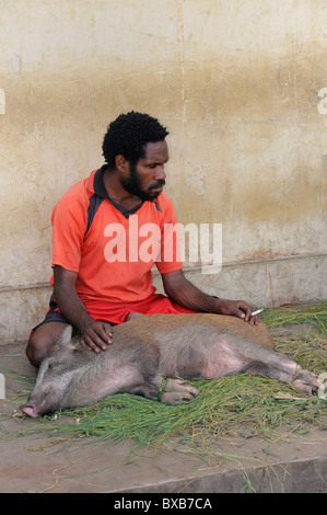 Dani-Mann, ein Schwein auf dem Marktplatz in Wamena, Baliem-Tal, West-Papua, ehemalige Irian Jaya, Island of Papua New Guinea zu verkaufen Stockfoto