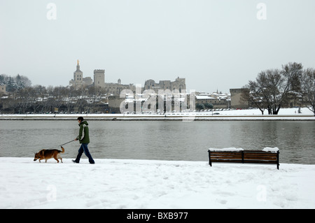 Man Walking Hund im Schnee an Ufern des Flusses Rhone in Avignon, Vaucluse, Provence, Frankreich Stockfoto