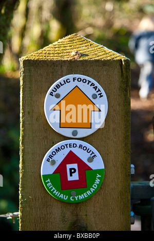 Weg-Marker für verschiedene ausgeschilderte Wanderungen in The Wenallt Buchenwälder in der Nähe von Rhiwbina Cardiff Stockfoto