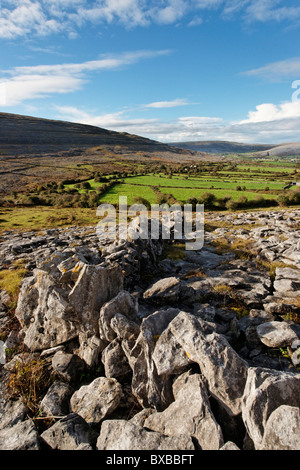 Eine Burren Landschaft am Oughtmama, in der Nähe von Turlough, Burren, County Clare, Munster, Irland. Eine Trockensteinmauer im Vordergrund. Stockfoto