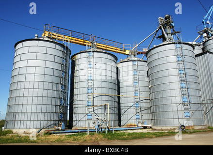 Landwirtschaft: Gruppe von Silos gefüllt mit Getreide gegen blauen Himmel. Stockfoto