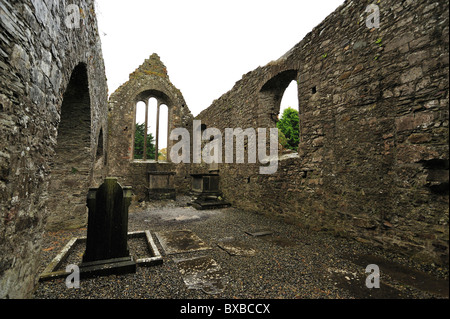 Heiliges Marys Abbey, Duleek, County Meath, Leinster, Irland Stockfoto