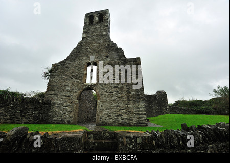 Mellifont Abbey, County Louth, Leinster, Irland Stockfoto