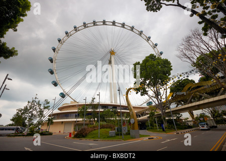 Singapore Flyer, Singapur, Asien Stockfoto