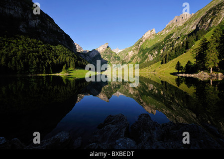 Seealpsee-See in den Bergen Alpstein Mt Säntis im Rücken, Kanton Appenzell, Schweiz, Europa Stockfoto