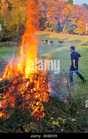 Junge riesige Feuer durch das Verbrennen von Beschneidungen / Drum und dran auf Bauernhof, Ardennen, Belgien Stockfoto