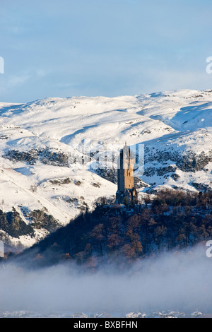 Das National Wallace Monument auf Abbey Craig, Stirling, Schottland, UK. Stockfoto