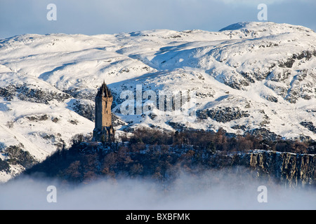 Das National Wallace Monument auf Abbey Craig, Stirling, Schottland, UK. Stockfoto