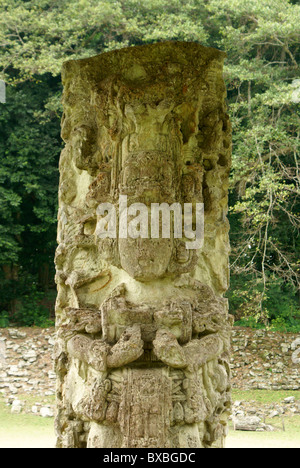 Gleichnis des Copan Herrschers 18 Kaninchen auf Stele 4 bei den Maya-Ruinen von Copán, Honduras. Copan ist ein UNESCO-Weltkulturerbe. Stockfoto