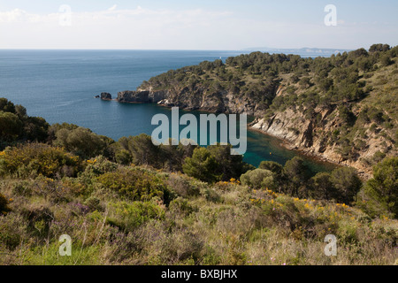 ROSTELLA Bucht, Naturpark von Cap de Creus, Costa Brava, Girona, Spanien Stockfoto