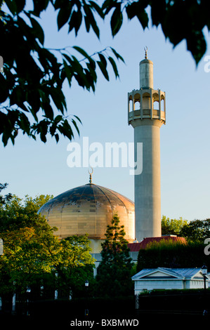 Europa, Großbritannien, England, London, Zentralmoschee Stockfoto