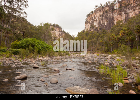 Carnarvon Creek in Carnarvon Gorge, Carnarvon National Park, Injune, Queensland Stockfoto