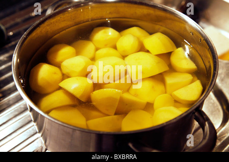 Rohen Kartoffeln, geschält, in Topf mit Wasser zum Kochen bereit. Stockfoto