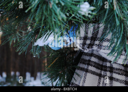 Junge Frau, die die Zweige, die Vorbereitungen für Weihnachten Stockfoto