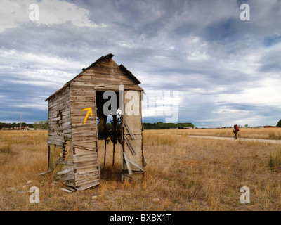 Gelber Pfeil zeigt den Weg entlang des Camino de Santiago, Spanien. Stockfoto