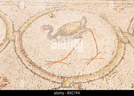 Der Palast der "Vogel-Mosaik" a 14,5 x 16 m Stock einer Villa aus der byzantinischen Zeit Stockfoto