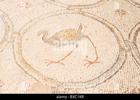 Der Palast der "Vogel-Mosaik" a 14,5 x 16 m Stock einer Villa aus der byzantinischen Zeit Stockfoto