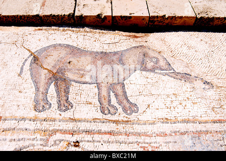 Der Palast der "Vogel-Mosaik" a 14,5 x 16 m Stock einer Villa aus der byzantinischen Zeit Stockfoto