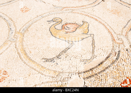 Der Palast der "Vogel-Mosaik" a 14,5 x 16 m Stock einer Villa aus der byzantinischen Zeit Stockfoto