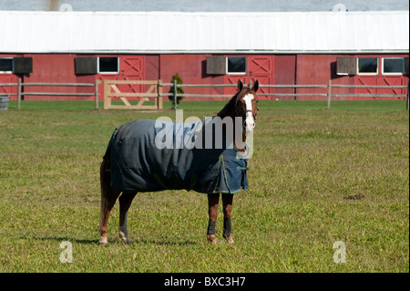 Die Hamptons, Sag Harbor, New York Stockfoto