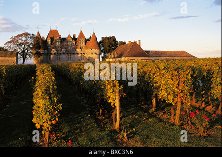 Frankreich, Perigord, Dordogne, Weinberg und Chateau Monbazillac Stockfoto