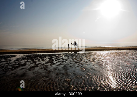 Ein Indianer mit einem Kamel an einem Strand in Mandvi, Gujarat, Indien Stockfoto