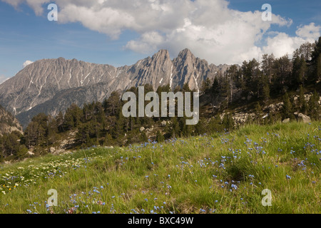 ELS Encantats Gipfel, Nationalpark Aiguestortes ich Estany de Sant Maurici, Lleida, Spanien Stockfoto