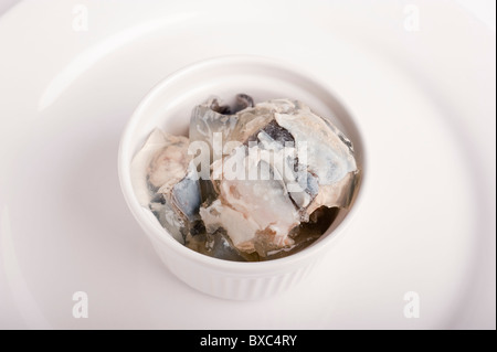 Ramekin Servieren von frischen Gelierten Aalen auf einem weißen Teller Stockfoto