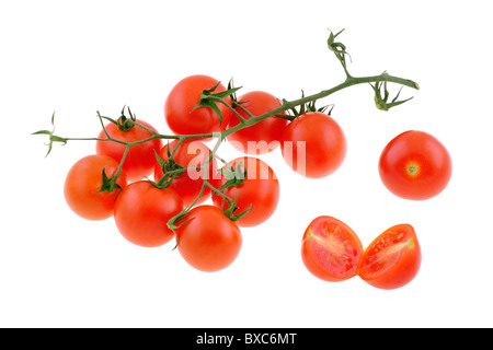 Ein Zweig mit kleinen Tomaten, isoliert auf weiss Stockfoto