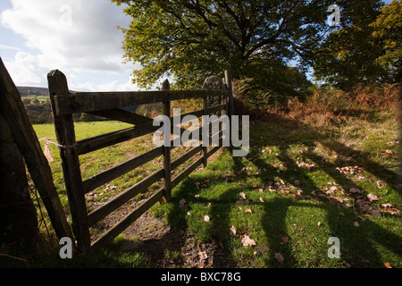 5 bar Bauernhof Tor Schattenwurf auf dem Boden Derbyshire Peak District England Stockfoto