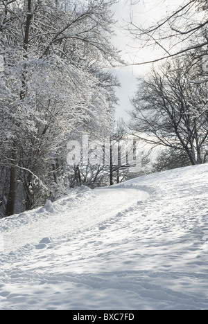 Waldweg durch verschneite Winterlandschaft Stockfoto