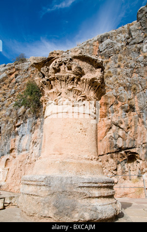 Korinthische Kapitell aus dem Tempel des Zeus in Cäsarea Philippi 98 BCE. Hermon Stream Nature Reserve und archäologischen Park Stockfoto