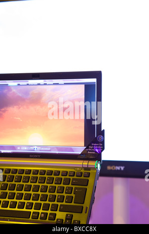 Großen Breitbild-Monitor und Laptop, moderne Multimedia-System von Sony Stockfoto