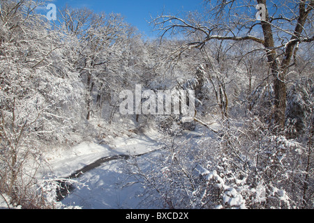 Stream und Schnee bedeckt Bäume entlang des Flusses Bluffs Scenic Byway, Clayton County, Iowa Stockfoto