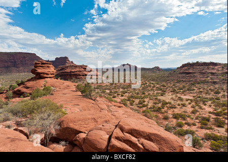 Das Amphitheater von Kalarranga Lookout, Finke Gorge Nationalpark, Northern Territory, Australien Stockfoto