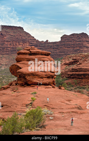 Das Amphitheater von Kalarranga Lookout, Finke Gorge Nationalpark, Northern Territory, Australien Stockfoto