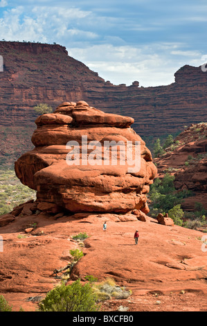 Das Amphitheater von Kalarranga Lookout, Finke Gorge Nationalpark, Northern Territory, Australien Stockfoto