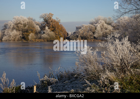 Bäume fallen in Eiskristallen und gefrorenen Angelsee, Bedfordshire, England Stockfoto